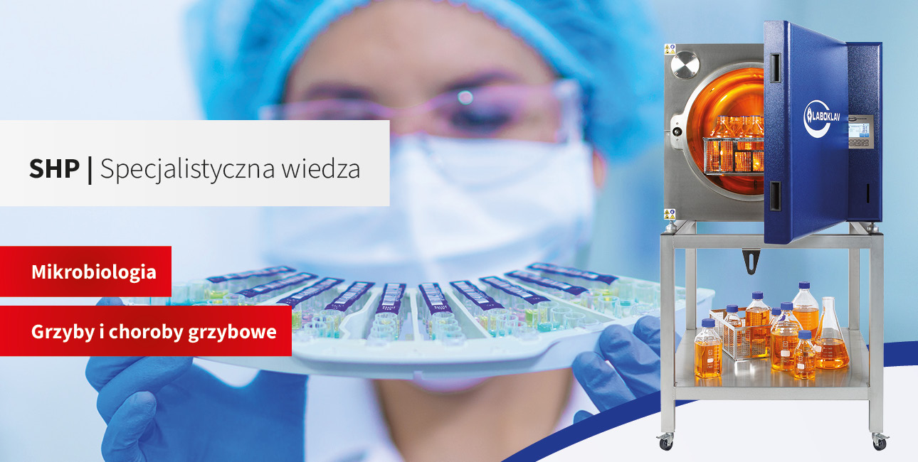 Grzyby i choroby grzybowe