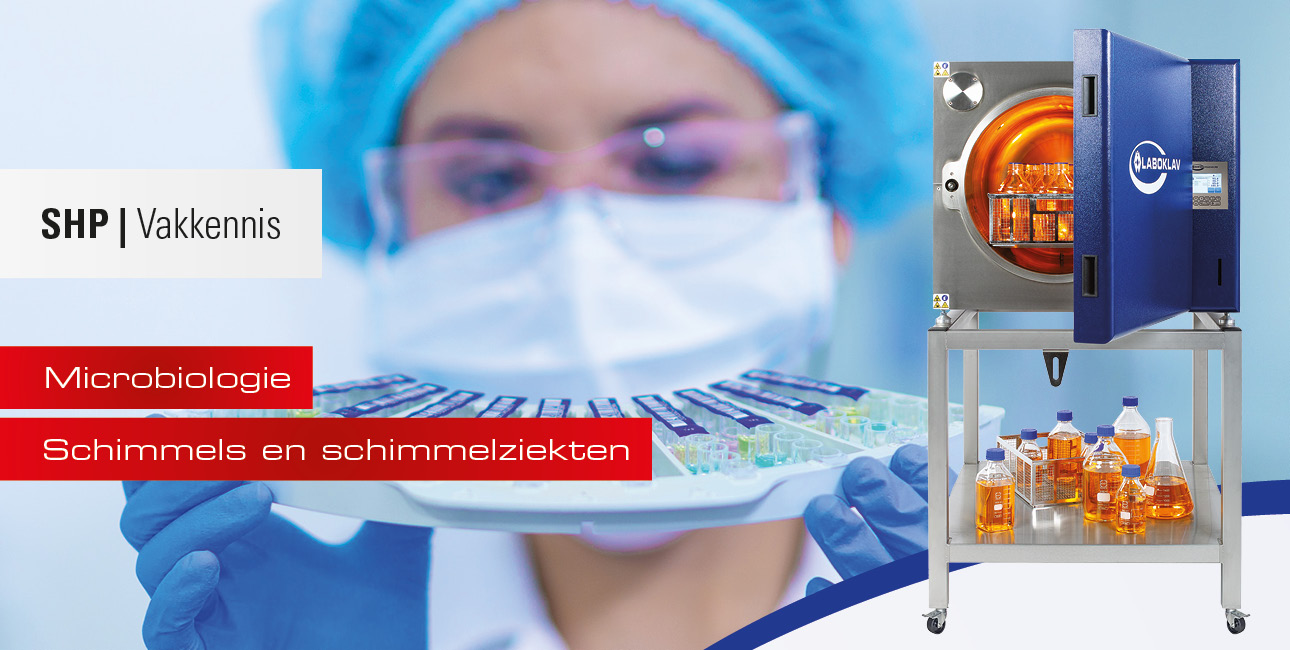 Schimmels en schimmelziekten