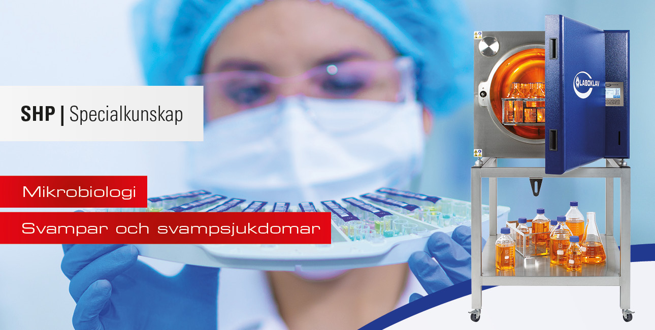 Svampar och svampsjukdomar