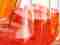 PT 100 reference sensor in Erlenmeyer flask - Sterilization PT 100 reference sensor in Erlenmeyer flask - Sterilization