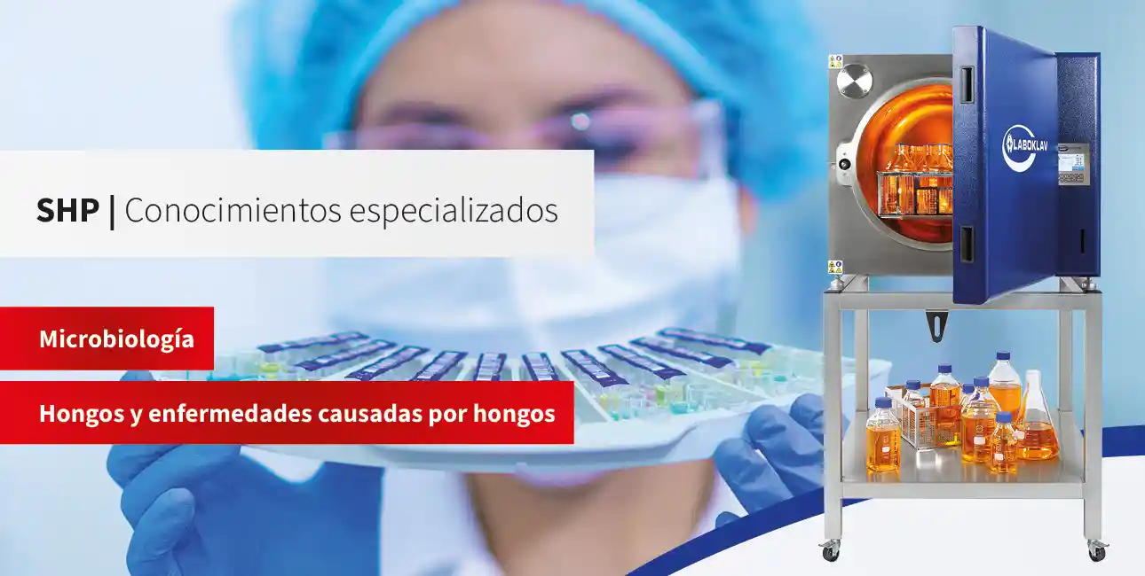 Hongos y enfermedades causadas por hongos